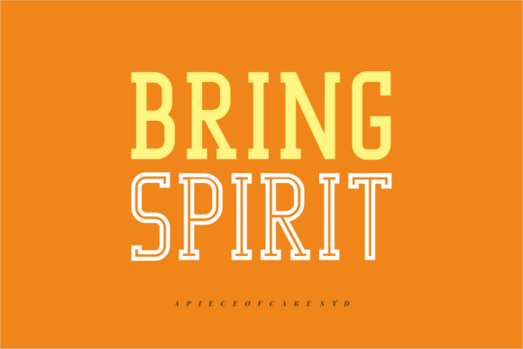 Bring Spirit: A Stylish Slab Serif Font for Elegance in Creative Workflows