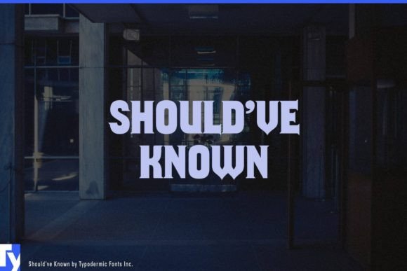 Should’ve Known: A Unique Take on Alternate-Reality Storytelling
